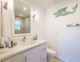 Guest Bathroom 2 view 1