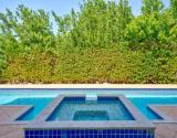 Pool and Spa