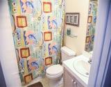 Guest Bath 2 view 1