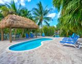 Pool and Tiki view 1