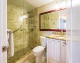 Guest Bath 1