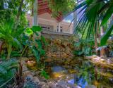 pond view