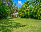 back yard