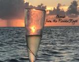 Cheers from FL Keys